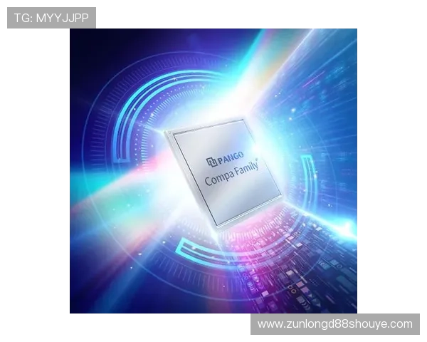 探索尊龙凯时手机版官网app的安全性与用户评价，权益保障全解析