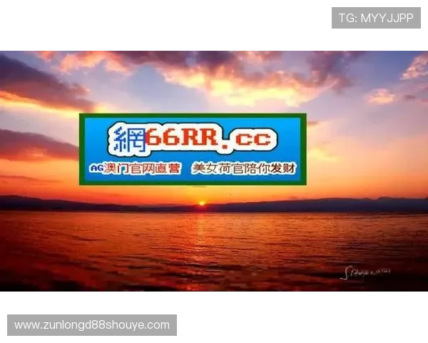 提升尊龙凯时网站登录效率的实用小技巧