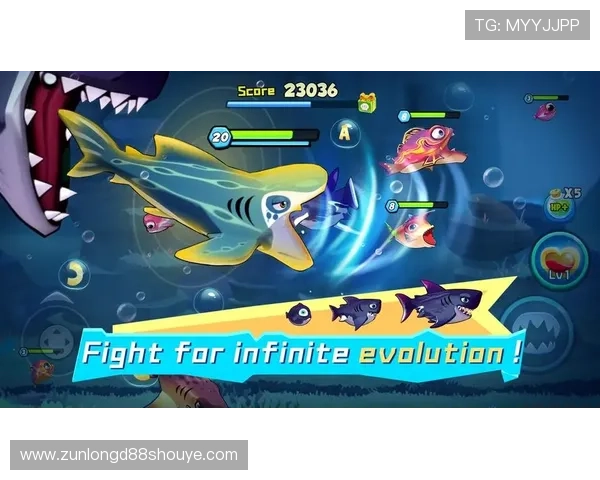 如何在d88尊龙游戏官网上注册账号并享受优质游戏体验指南